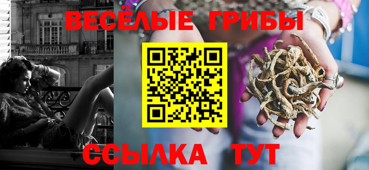 Псилоцибиновые грибы ЛСД  Вход с VPN  Ишим 