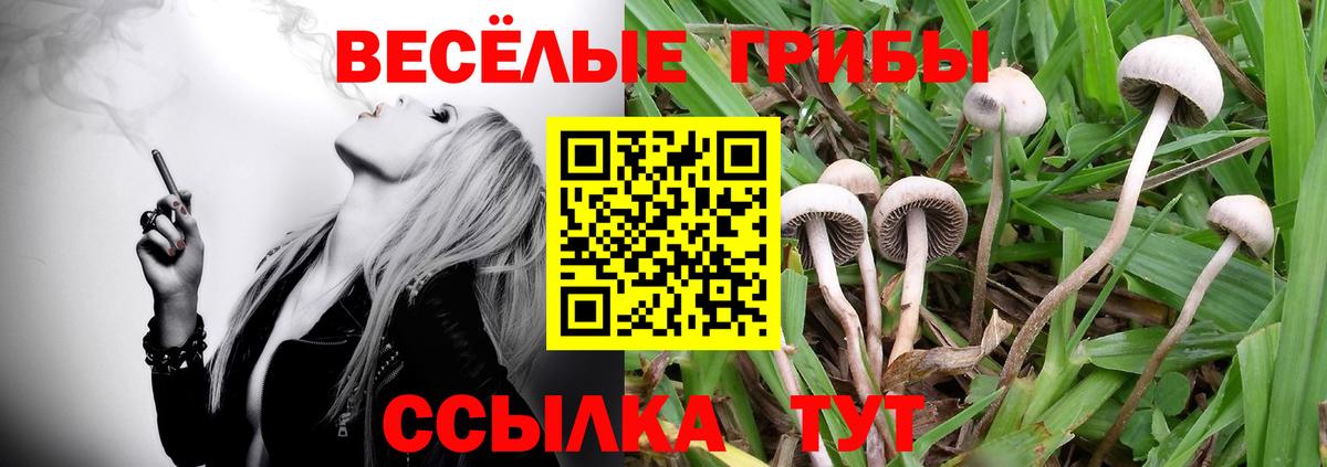 Галлюциногенные грибы Magic Shrooms Ишим